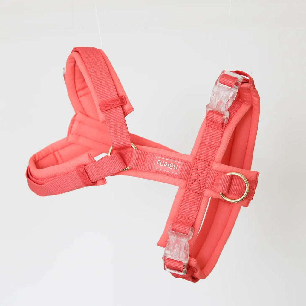 'Coral' - Dog Harness - Modern Companion