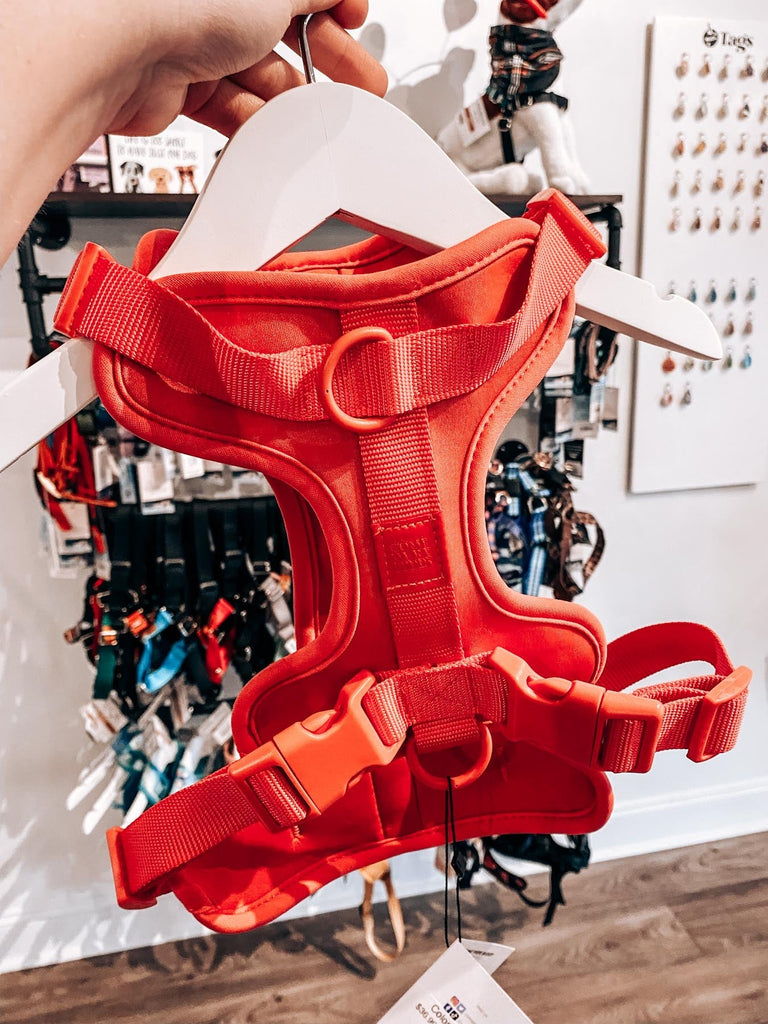 Coral Red Pet Harness - Modern Companion