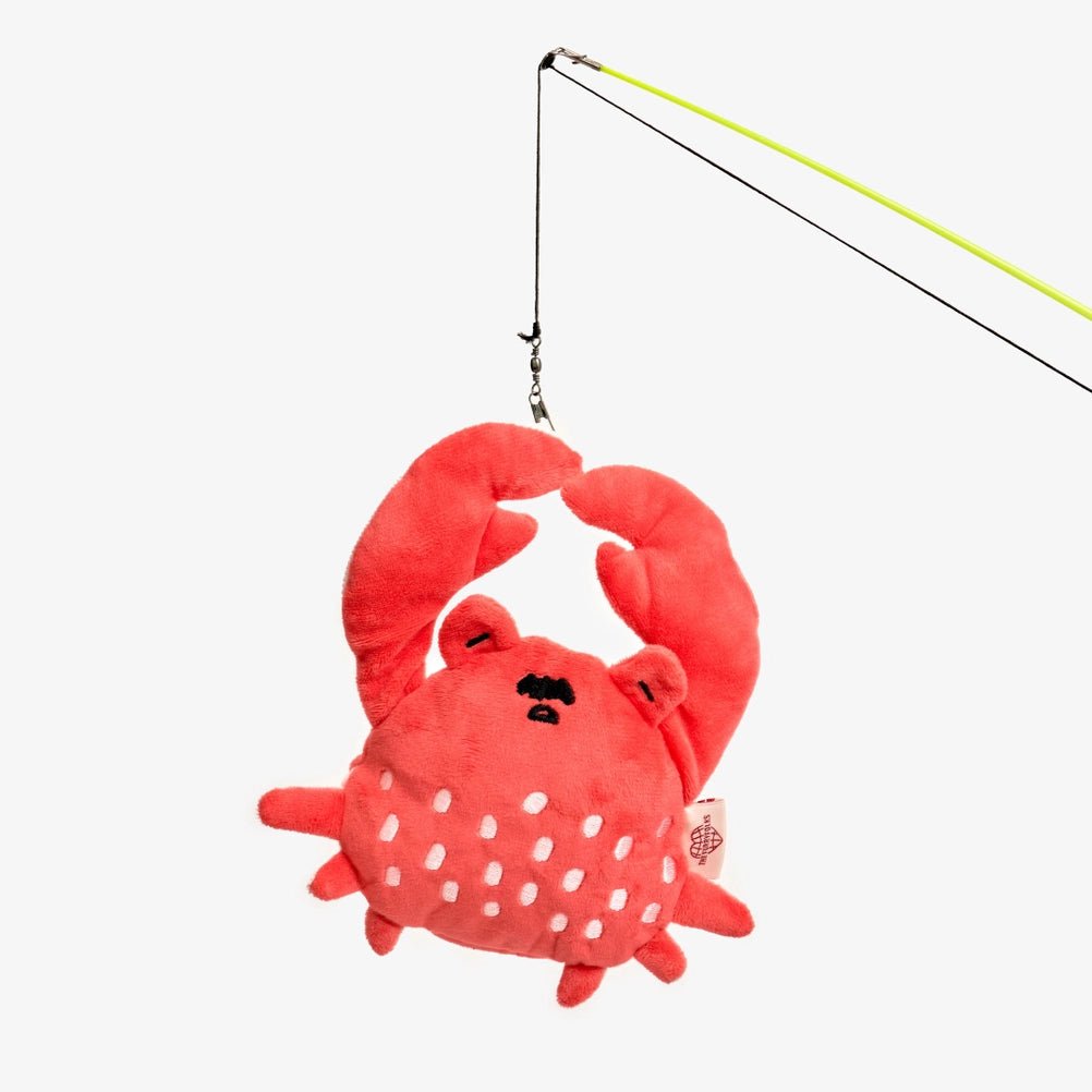 Crab Nosework Toy - Modern Companion