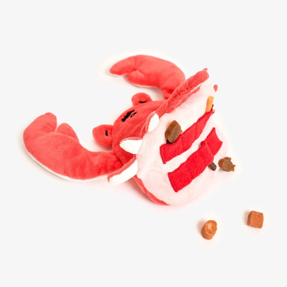 Crab Nosework Toy - Modern Companion