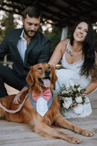 Customizable Tuxedo Pet Bandanas - Modern Companion