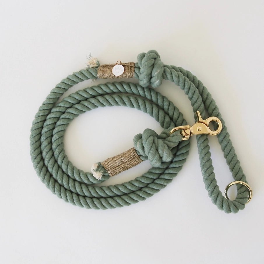 Desert Sage - Rope Leash - Modern Companion