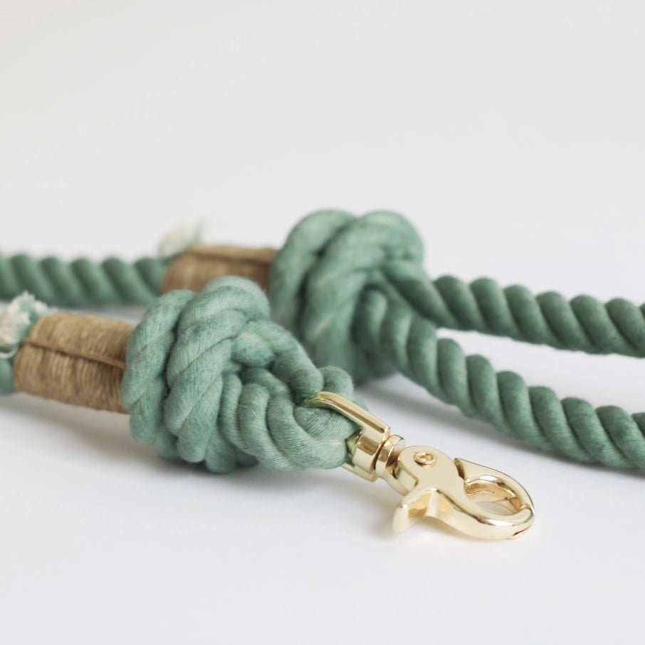 Desert Sage - Rope Leash - Modern Companion