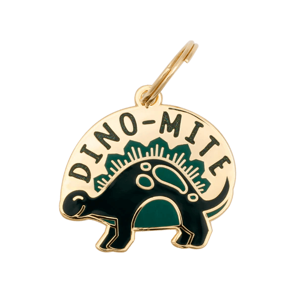 Dino-Mite Pet ID Tag - Modern Companion