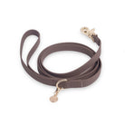 Espresso Brown Waterproof Leash - Modern Companion