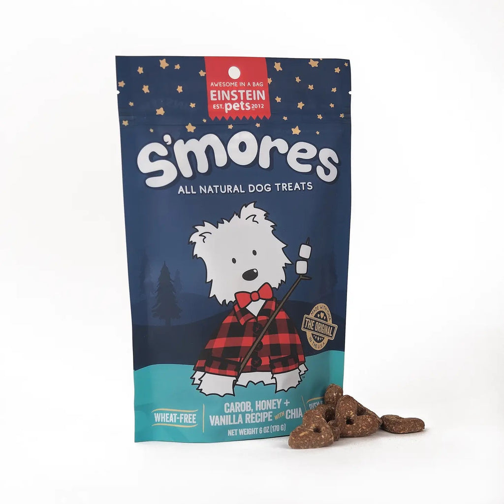 Everydays: S'mores Treats - Modern Companion