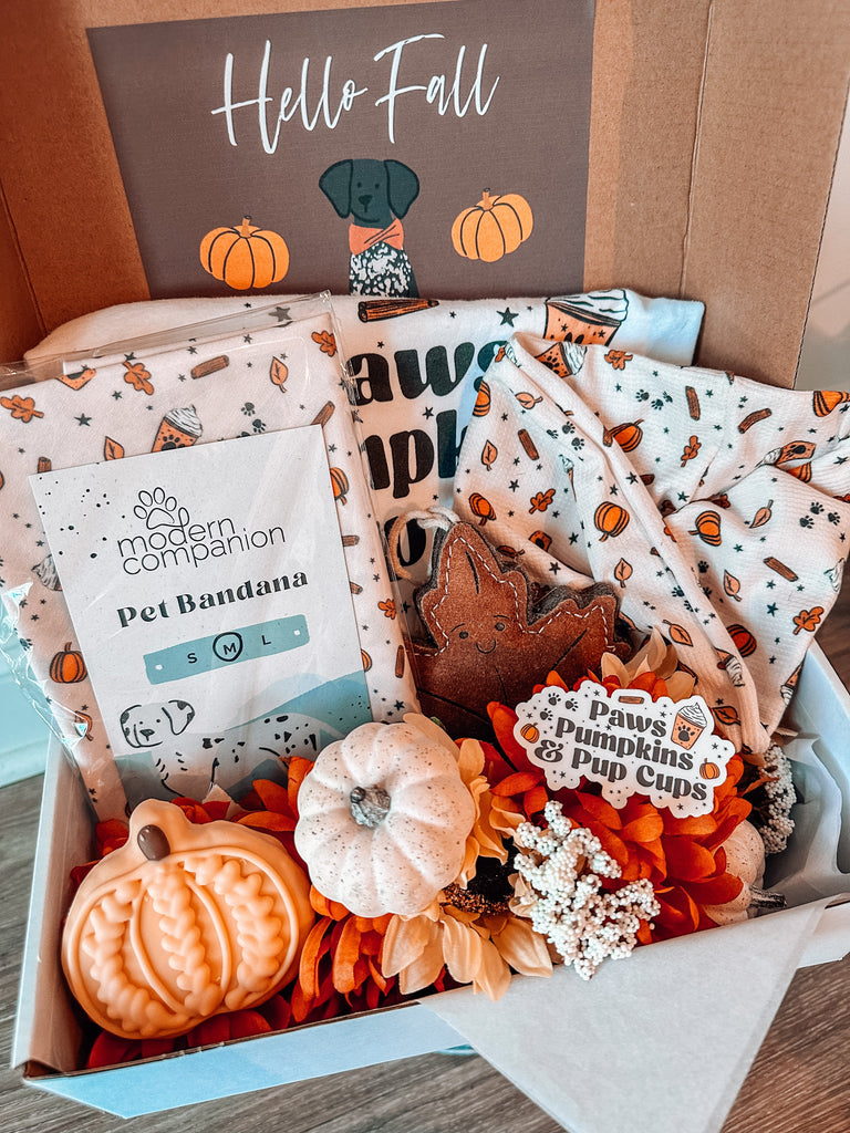 Fall Launch Box 2023 - Modern Companion