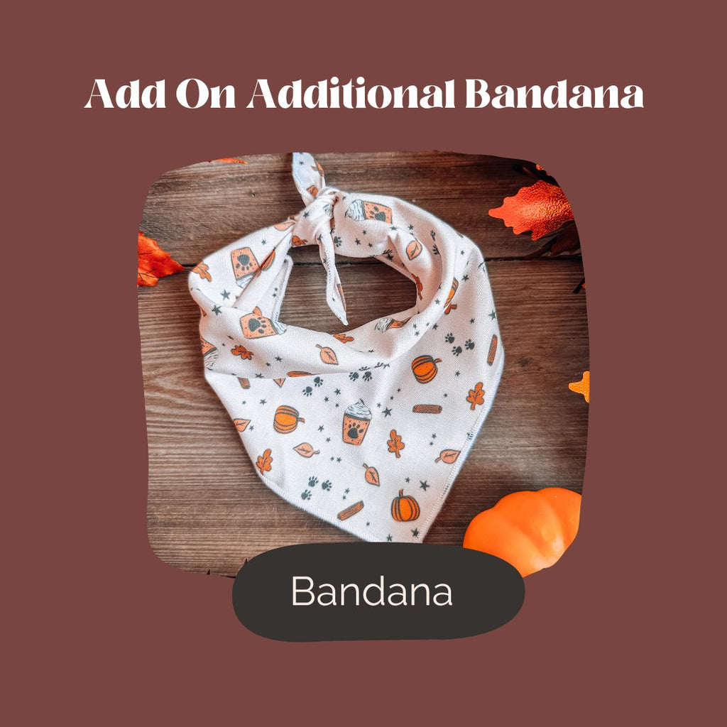 Fall Launch Box - Add on Additional Bandana - Modern Companion