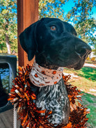 Fall Pup Cups Pet Scarf - Modern Companion