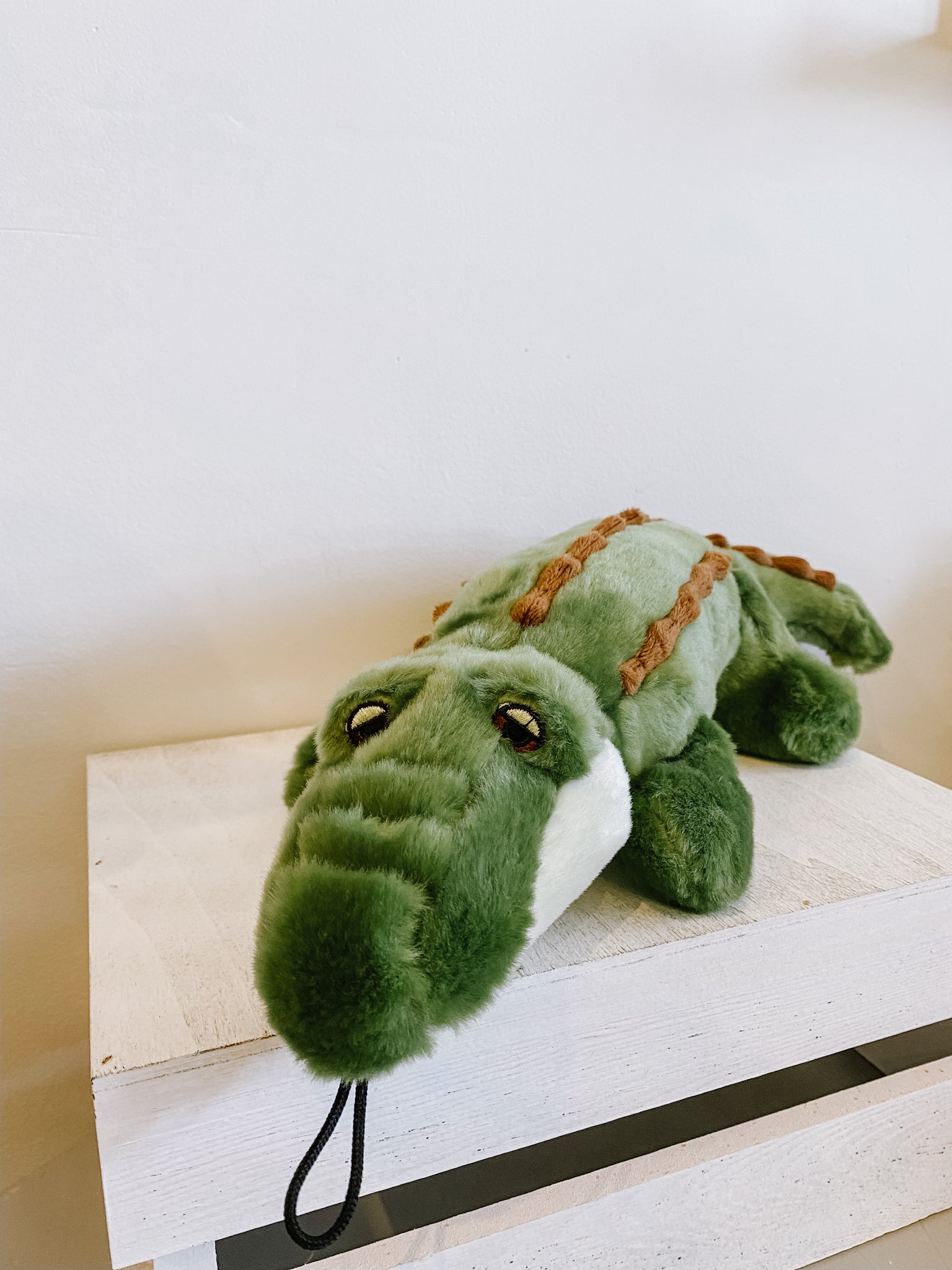 Georgia Gator - Modern Companion