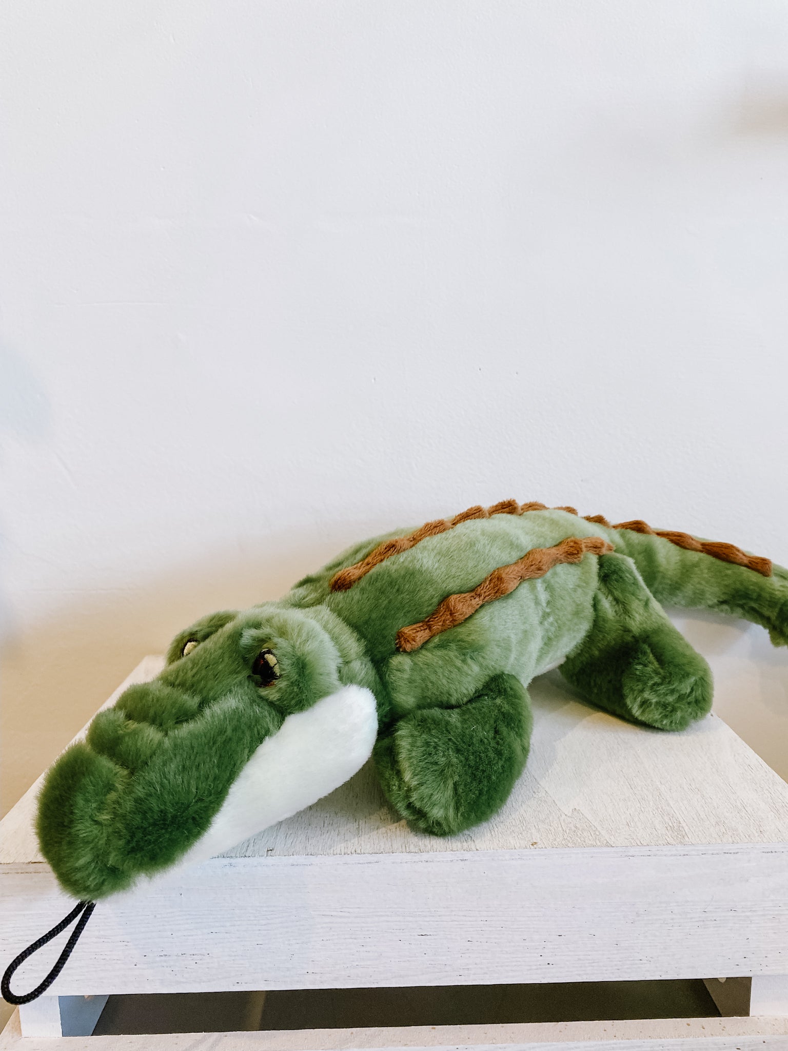 Georgia Gator - Modern Companion