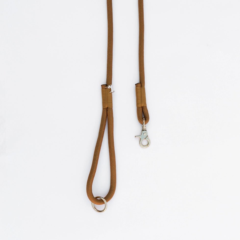 Gold - Braided Rope Leash - Modern Companion