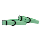 Green Buckle Waterproof Pet Collar - Modern Companion