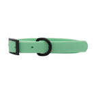 Green Buckle Waterproof Pet Collar - Modern Companion