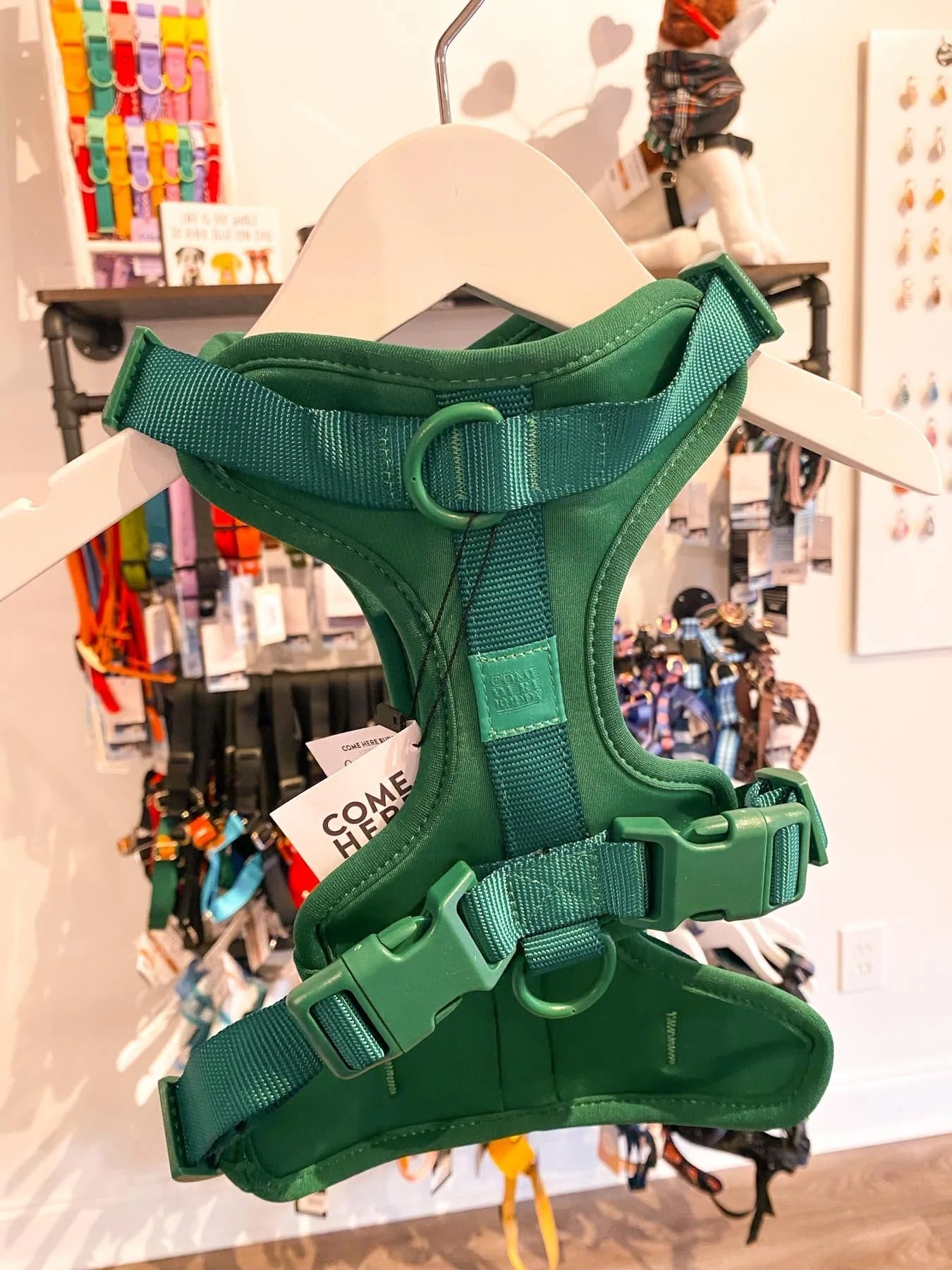 Green Pet Harness - Modern Companion