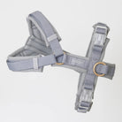 'Grey' - Dog Harness - Modern Companion