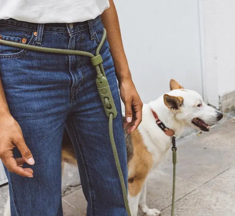 Hands-Free Leash – Modern Companion