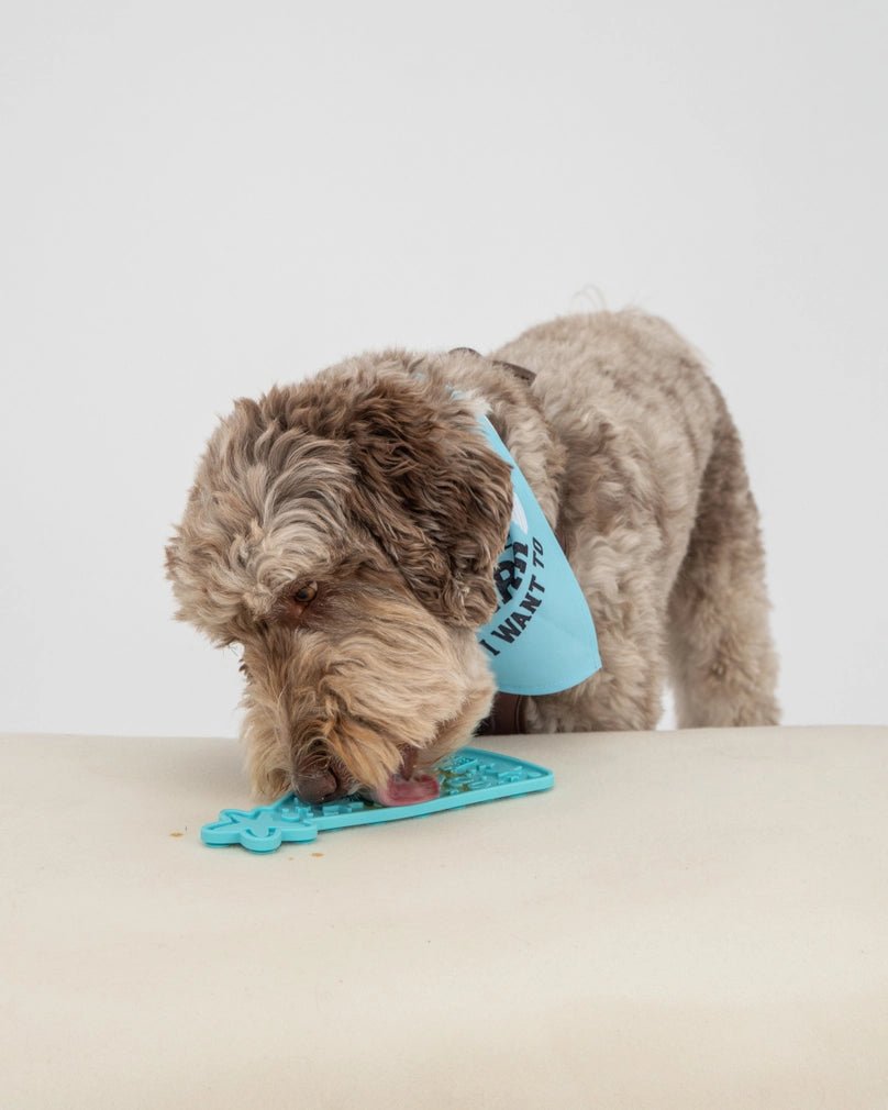 Happy Bark Day Lick Mat Modern Companion