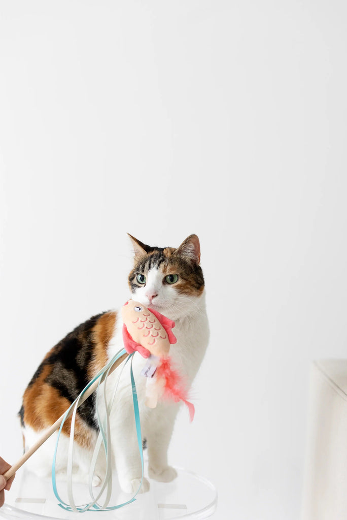 Koi Fish Cat Teaser Wand - Modern Companion