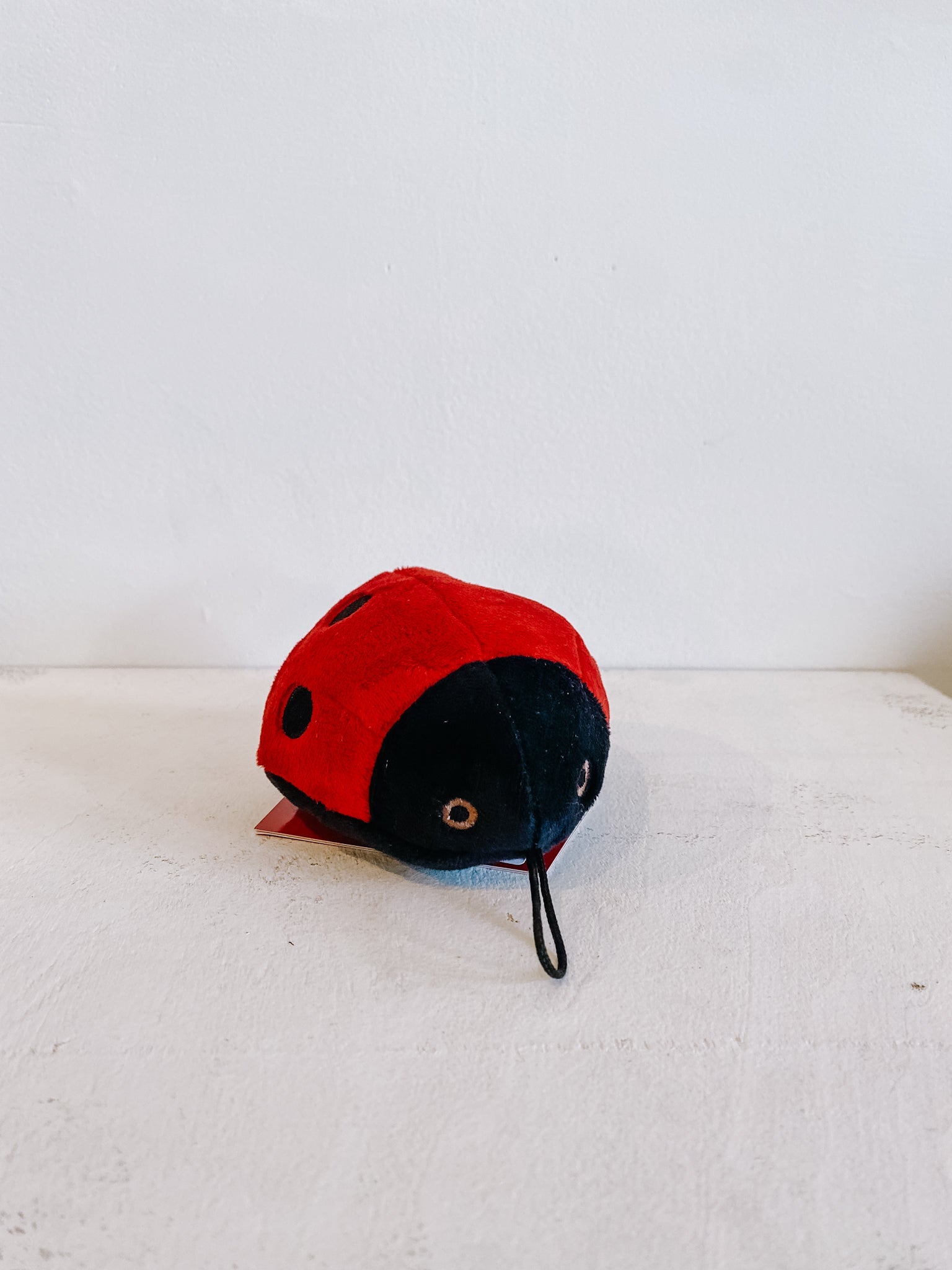 Lady Bug - Modern Companion