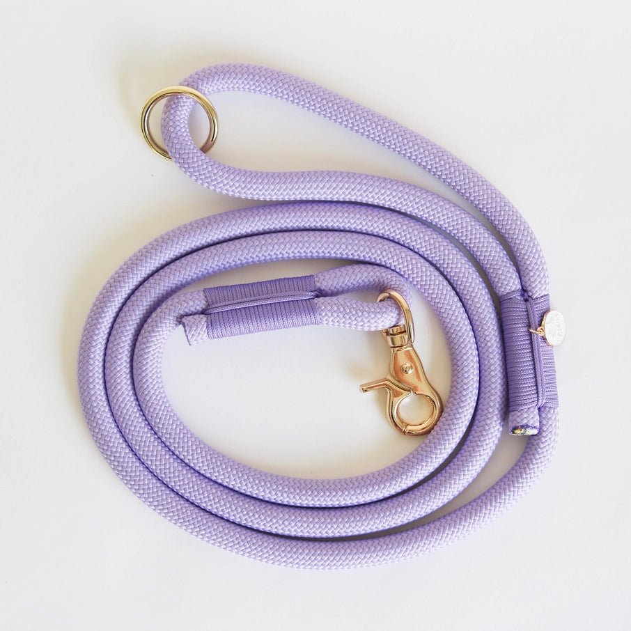 Lavender - Braided Rope Leash - Modern Companion