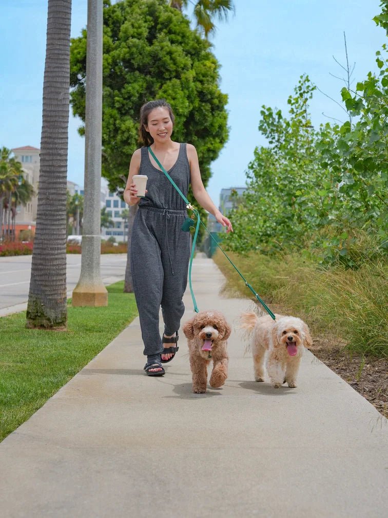 Lavender Hands Free Leash 4-Way Extension - Modern Companion