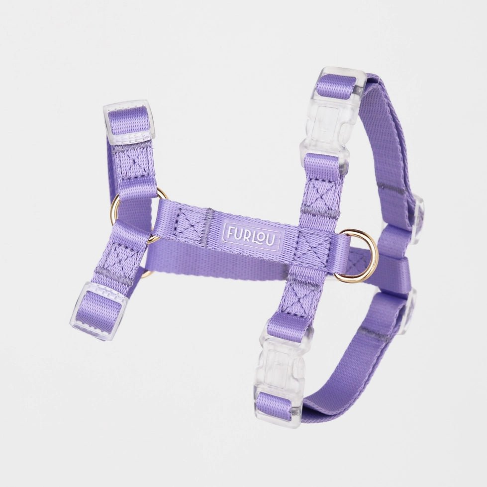 Lavender Strap Harness - Modern Companion
