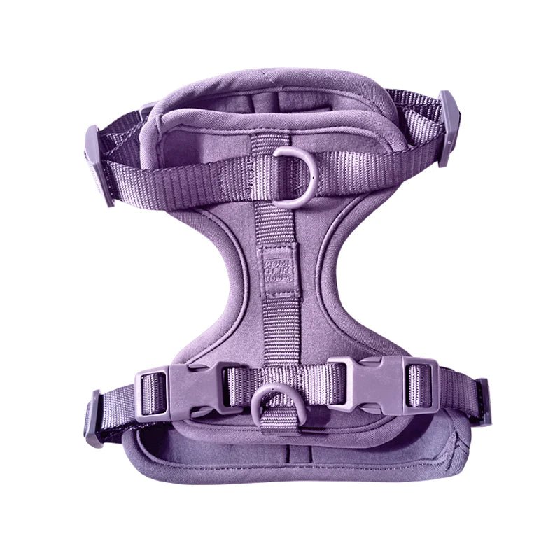 Lilac Pet Harness - Modern Companion