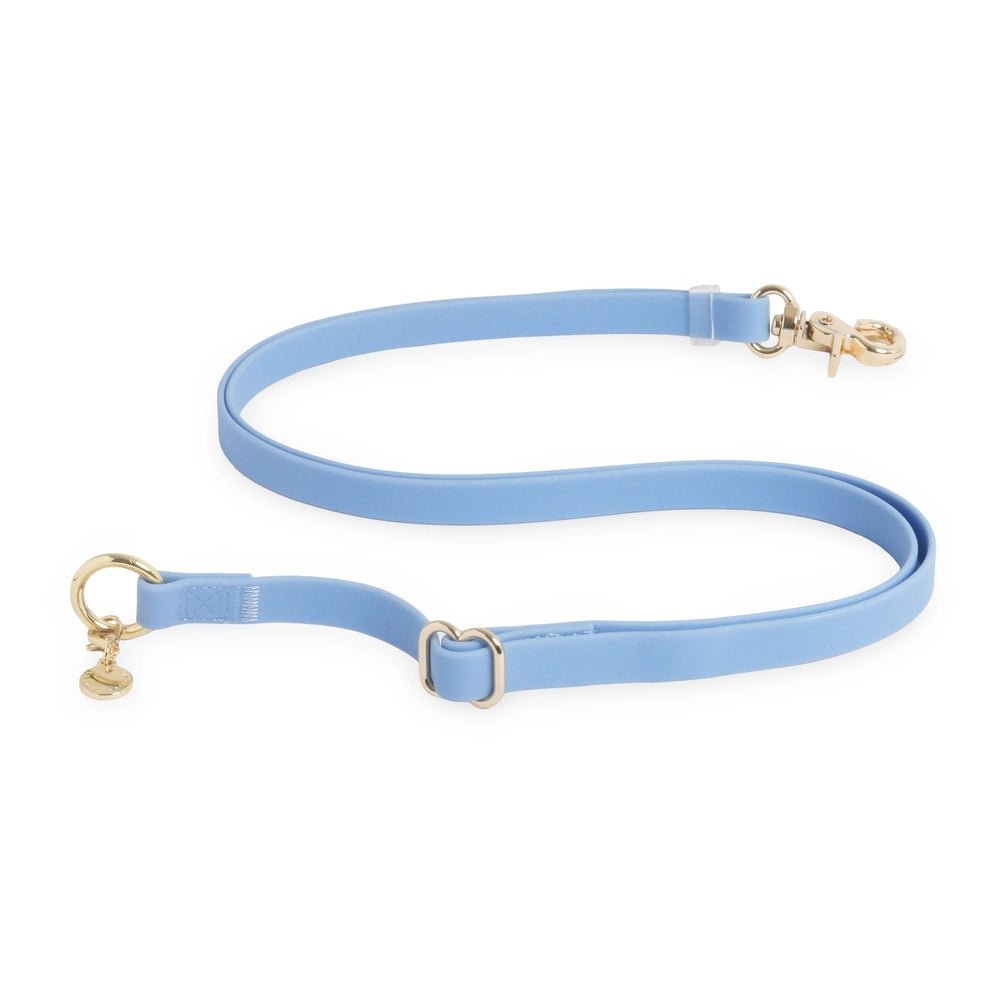 Malibu Blue Hands Free Leash 4-Way Extension - Modern Companion