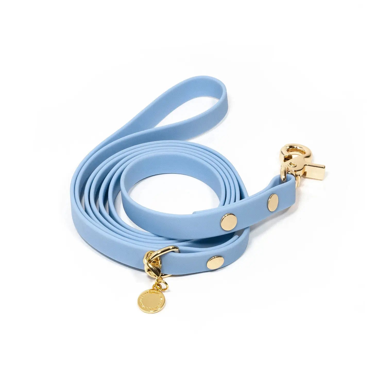 Malibu Blue Waterproof Leash - Modern Companion