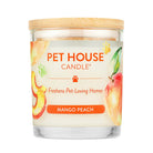 Mango Peach Candle - Modern Companion