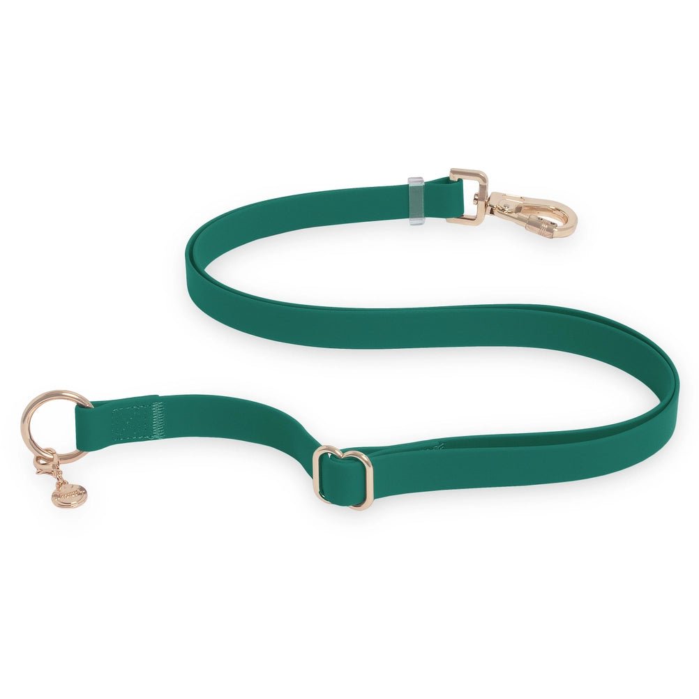 Meadow Green Hands Free Leash 4-Way Extension - Modern Companion