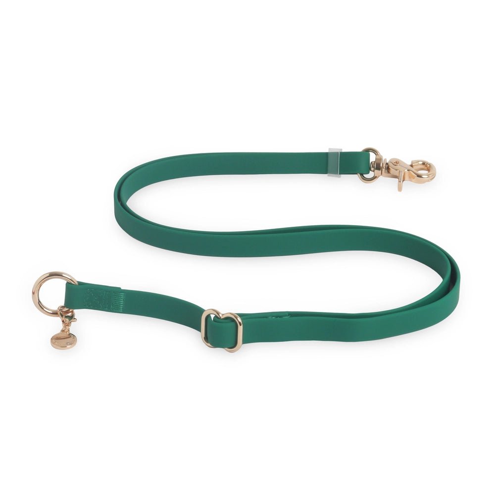 Meadow Green Hands Free Leash 4-Way Extension - Modern Companion