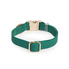 Meadow Green Waterproof Collar - Modern Companion