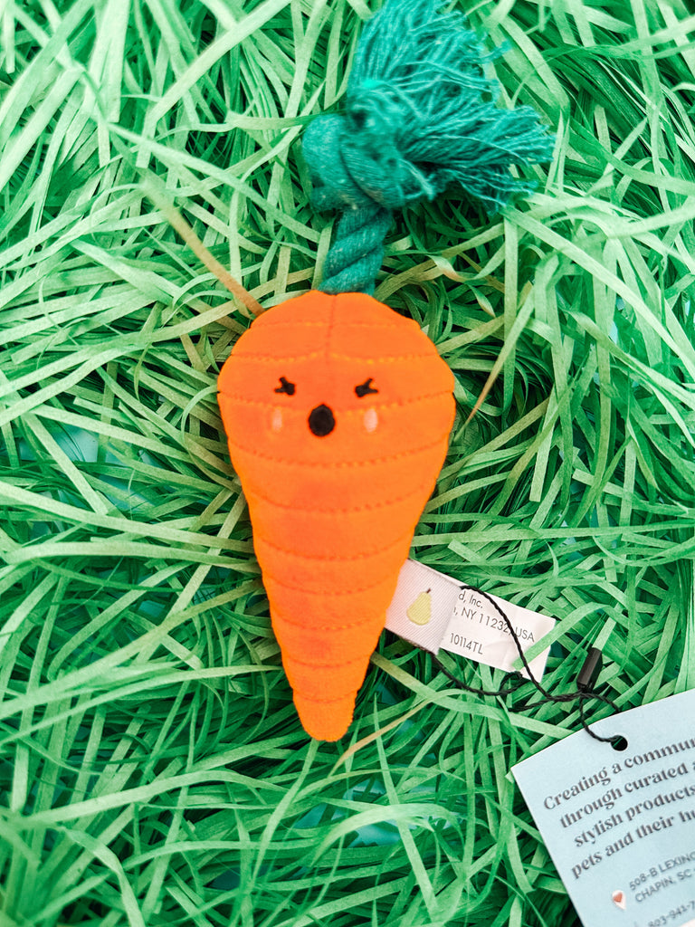 Mini Spring Carrot Toy - Modern Companion