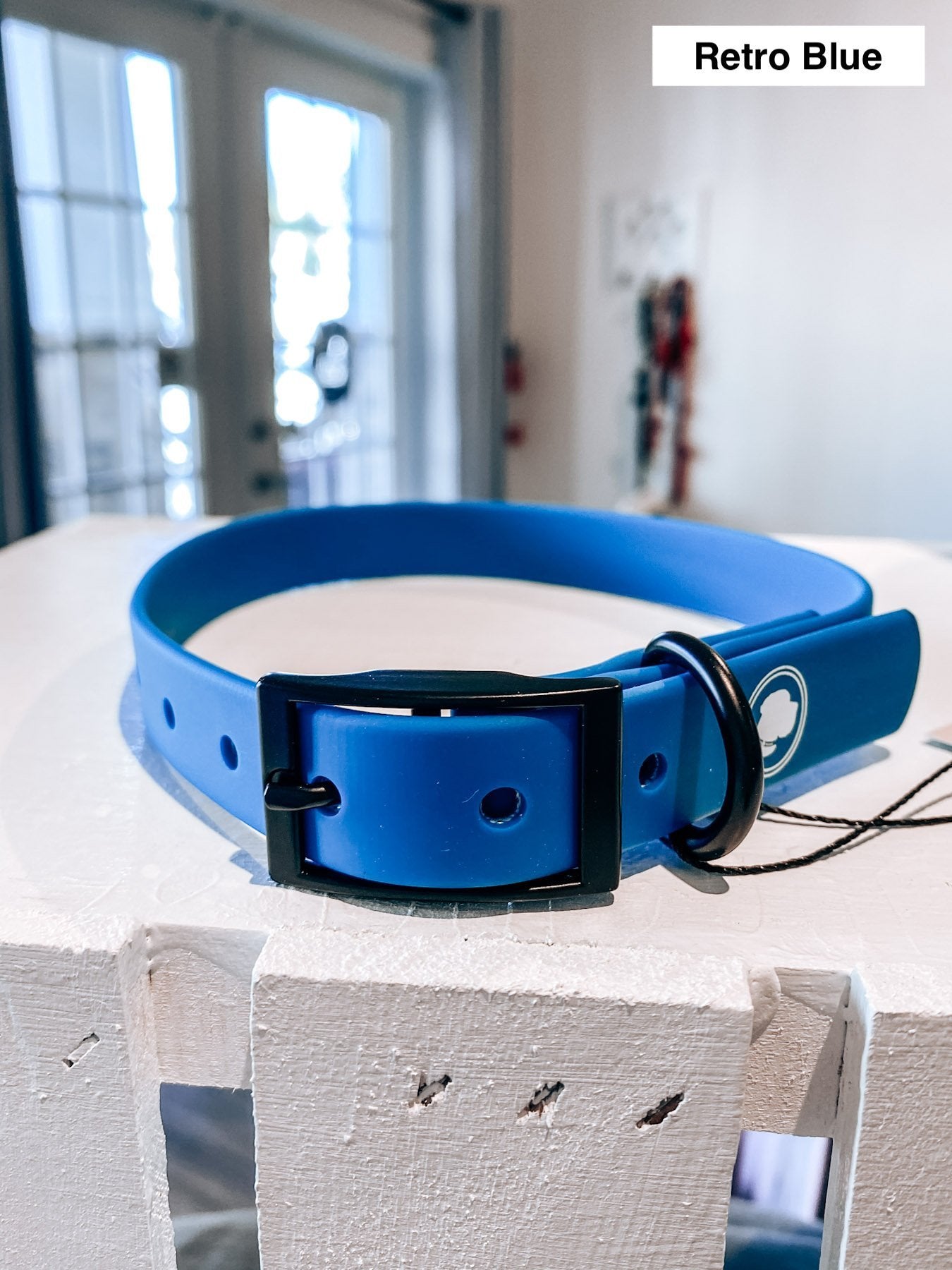 This Modern Dog Collar Has a Simple Aesthetic for Your Pup
