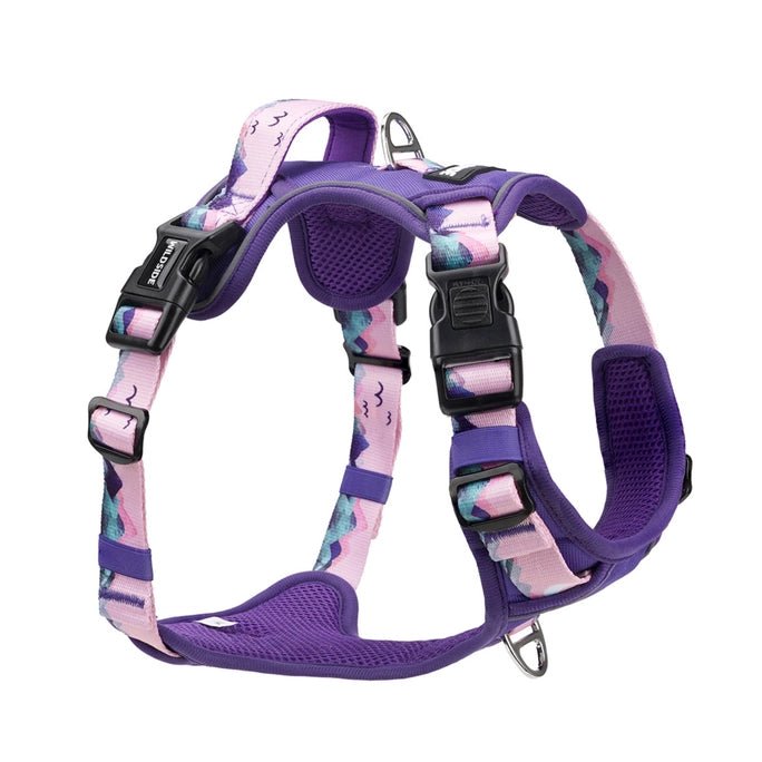 Mt. Milly Harness - Modern Companion