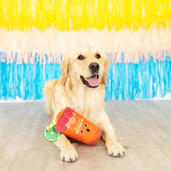 Muttchelada Toy - Modern Companion