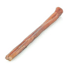 Odor Free Bully Stick - Modern Companion