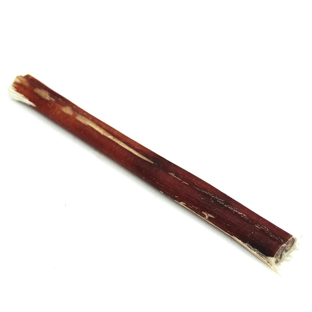 Odor Free Bully Stick - Modern Companion