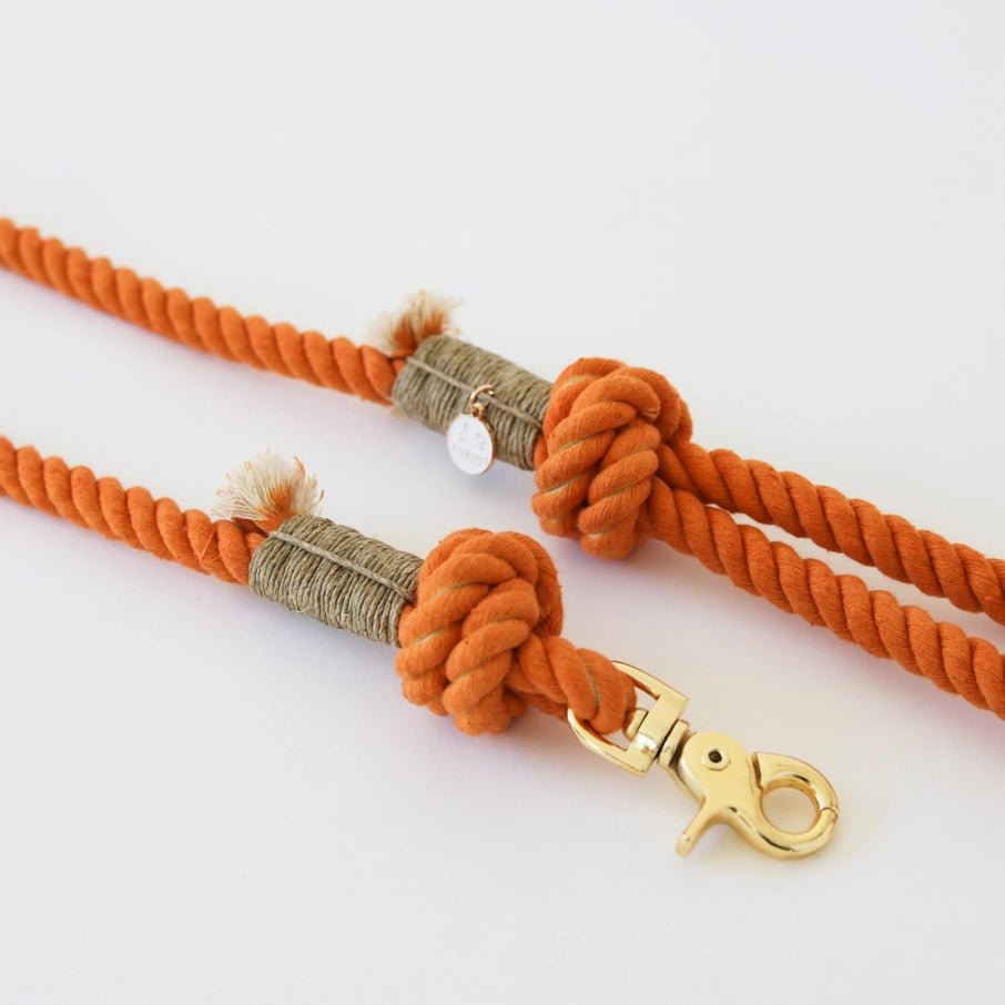 Orange Crush - Rope Leash - Modern Companion