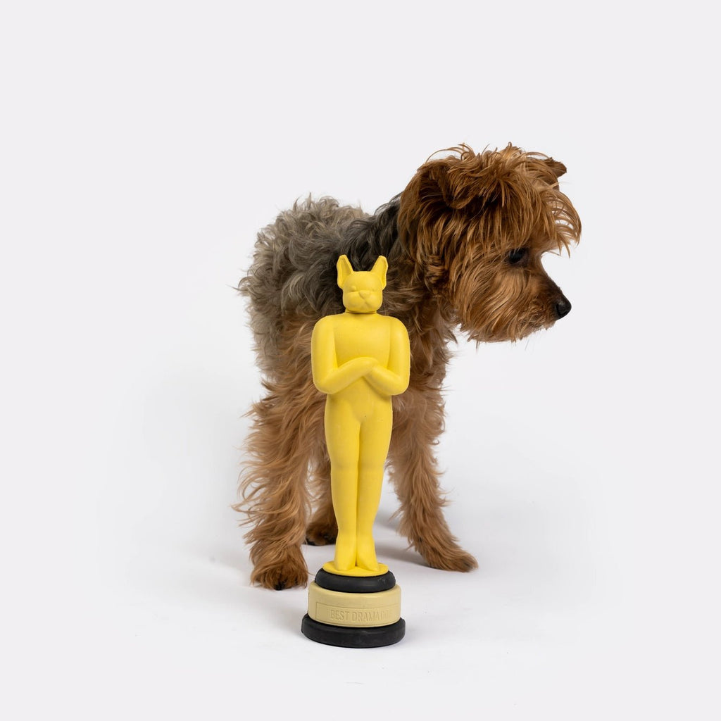 Oscar Toy - Modern Companion