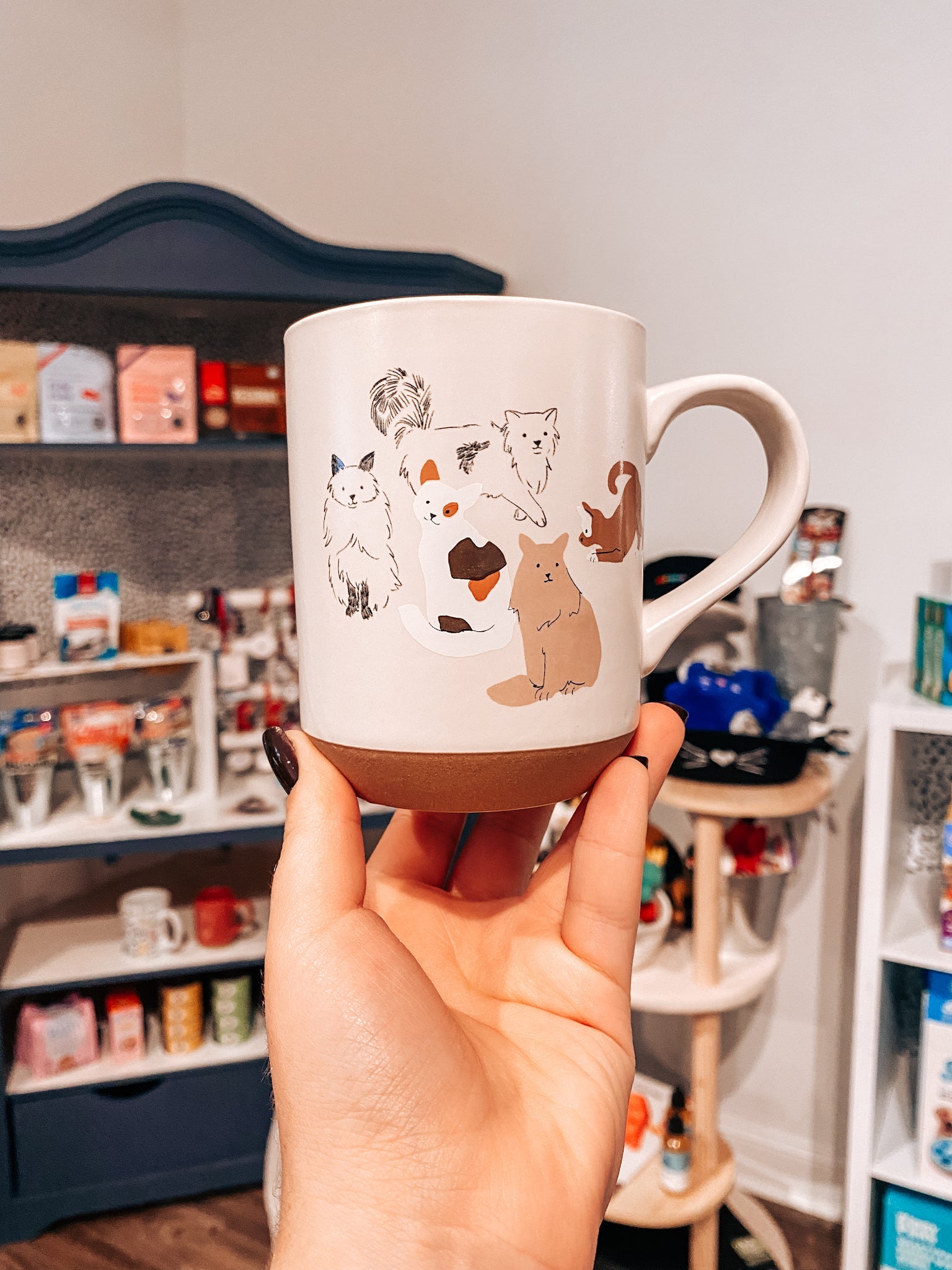 Pencil Cats Mug - Modern Companion