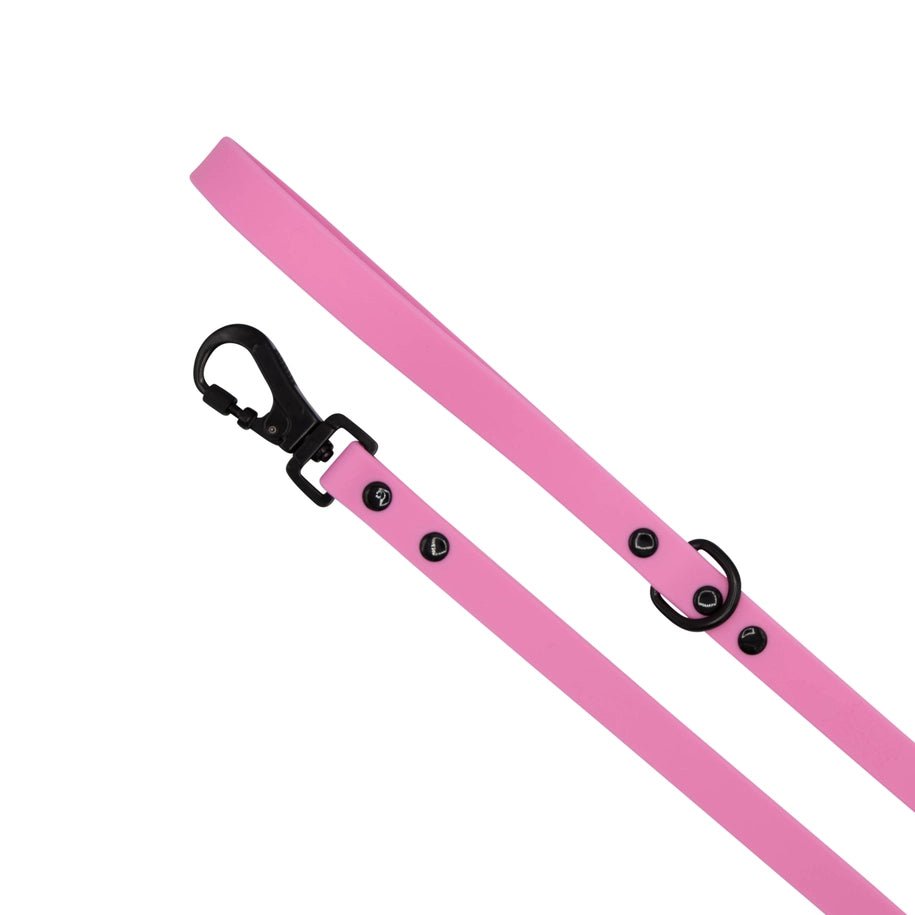 Pink Waterproof Leash - Modern Companion