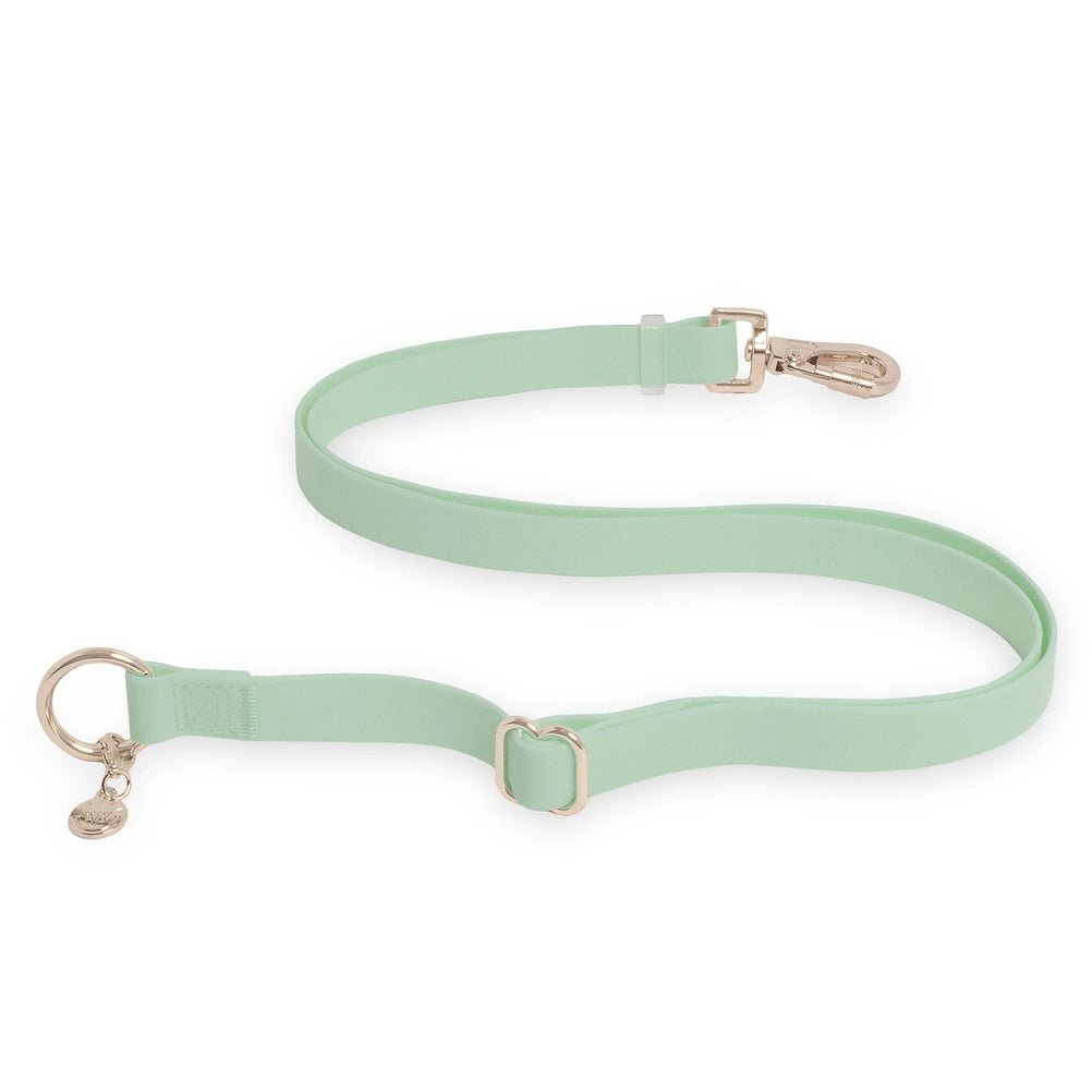 Pistachio Green Hands Free Leash 4-Way Extension - Modern Companion