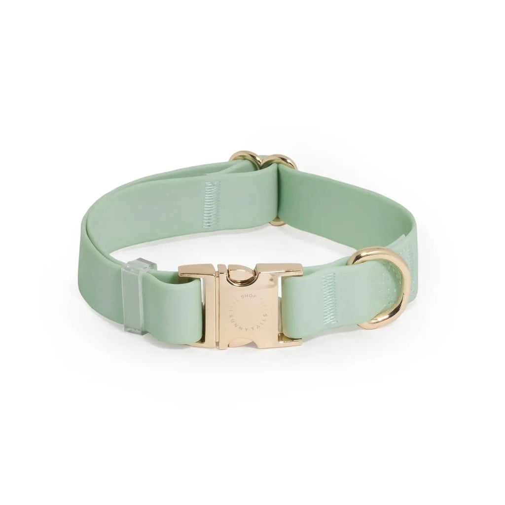 Pistachio Green Waterproof Collar - Modern Companion