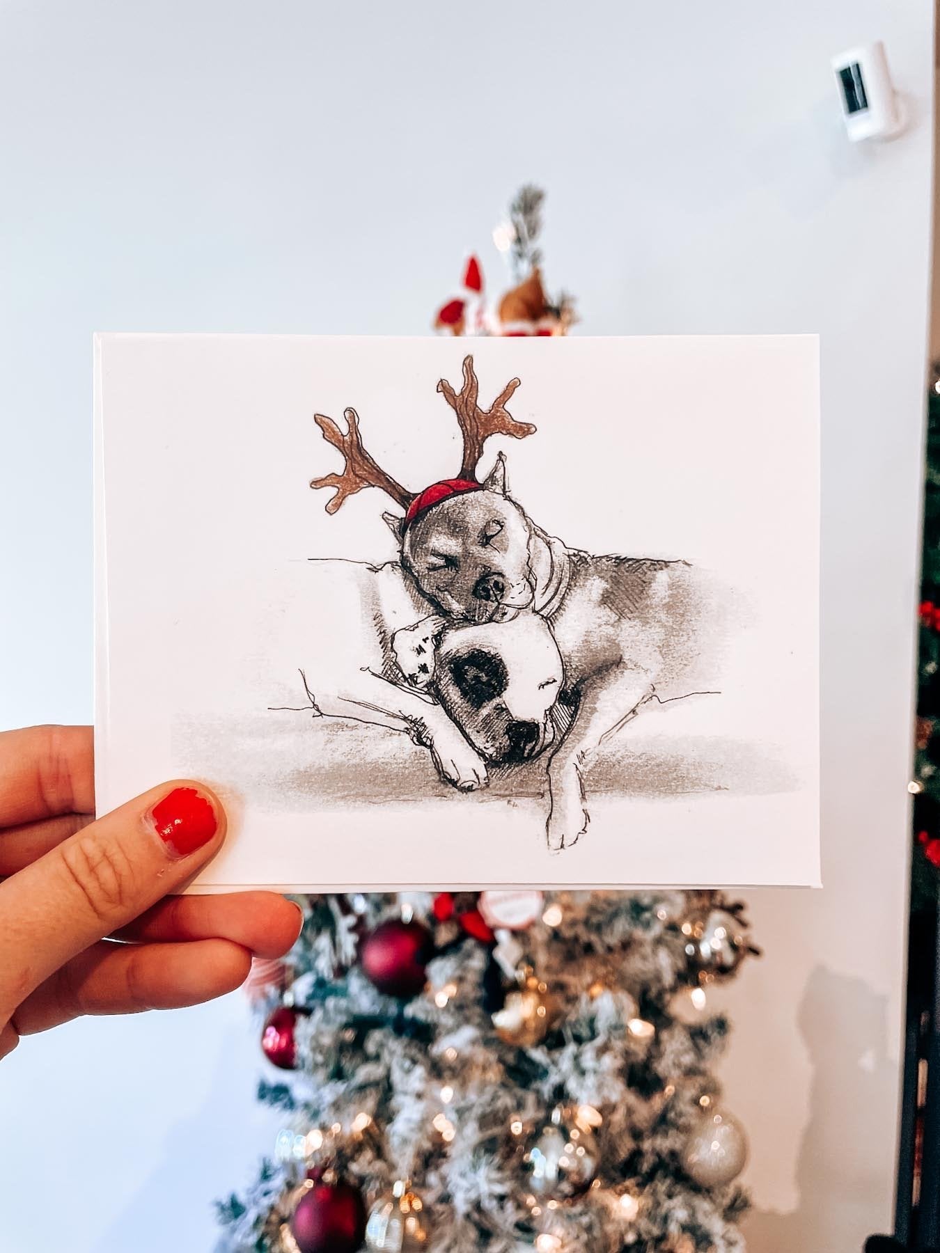 Pit Bull Terrier Holiday Card - Modern Companion