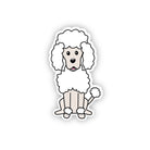 Poodle Sticker - Modern Companion