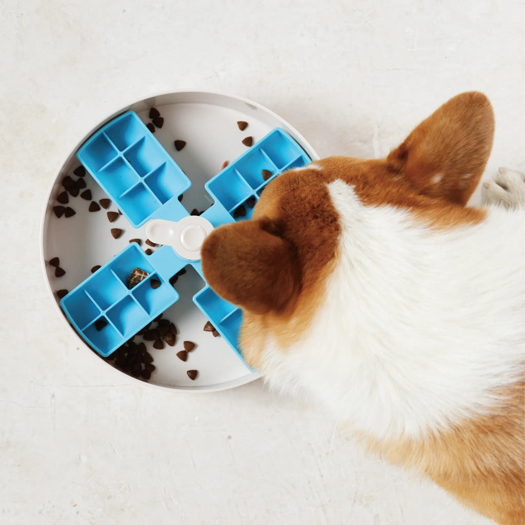 Pre-Order Interactive Feeder Bowl - Windmill - Modern Companion