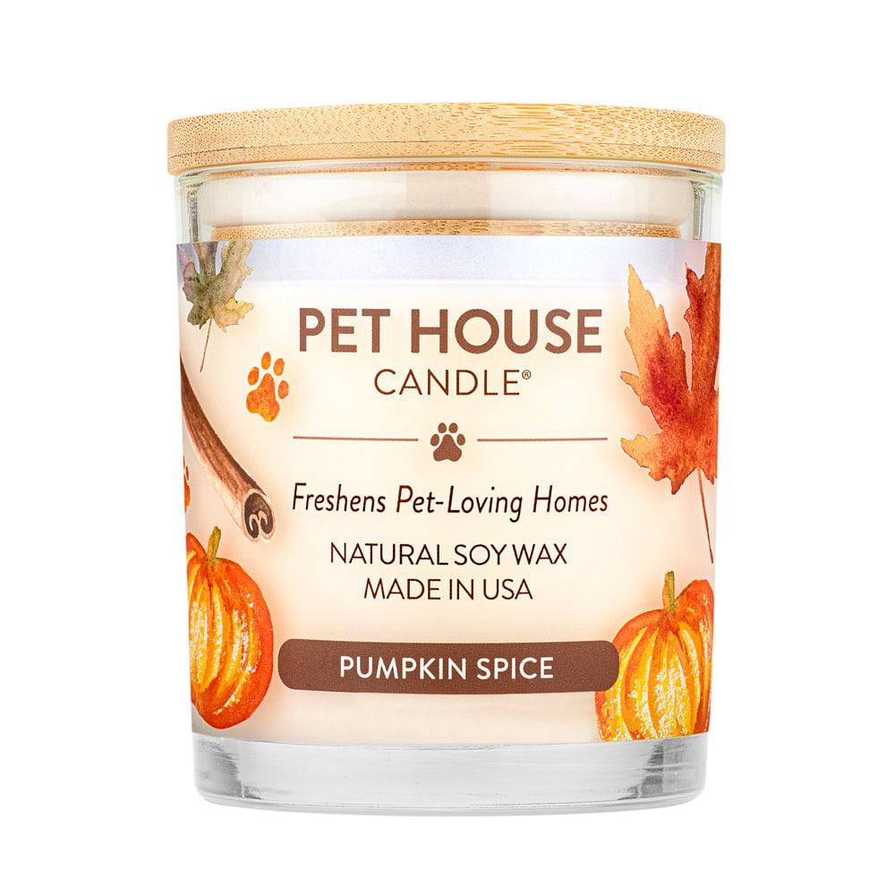 Pumpkin Spice Candle - Modern Companion